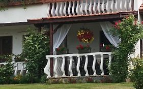Guesthouse Dida
