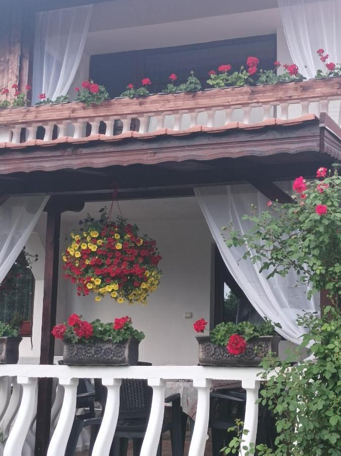 Guesthouse Dida Sapareva Banya Extérieur photo